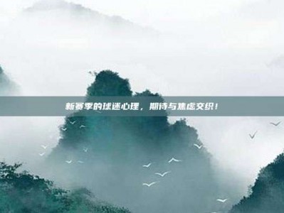 新赛季的球迷心理，期待与焦虑交织！