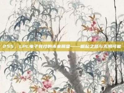 255，LPL电子竞技的未来展望——崛起之路与无限可能