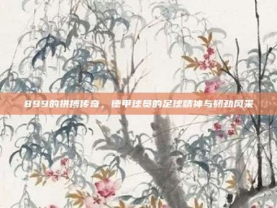 899的拼搏传奇，德甲球员的足球精神与韧劲风采