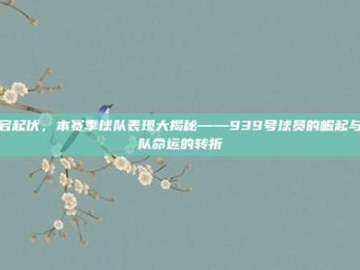 跌宕起伏，本赛季球队表现大揭秘——939号球员的崛起与球队命运的转折