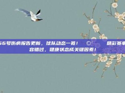 856号伤病报告更新，球队动态一览！🩹📉 精彩赛事不容错过，健康状态成关键因素！