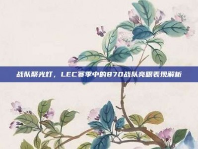 战队聚光灯，LEC赛季中的870战队亮眼表现解析