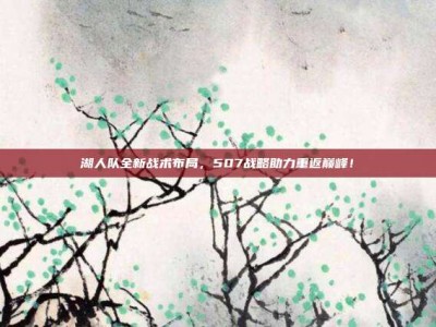 湖人队全新战术布局，507战略助力重返巅峰！