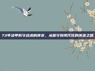 73年法甲防守战术的演变，从保守到现代化的演进之路