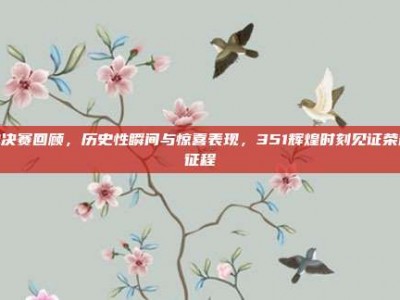 总决赛回顾，历史性瞬间与惊喜表现，351辉煌时刻见证荣耀征程