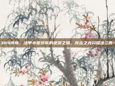 364传奇，法甲小型球队的逆袭之路，反击之光闪耀法兰西！