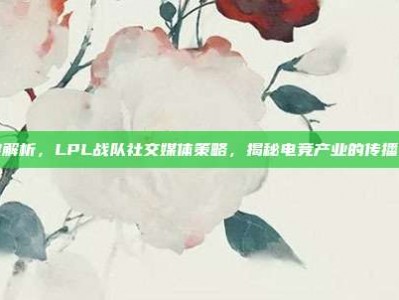 深度解析，LPL战队社交媒体策略，揭秘电竞产业的传播之道