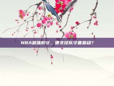 NBA最强防守，哪支球队守备最稳？