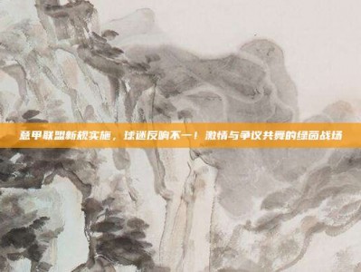 意甲联盟新规实施，球迷反响不一！激情与争议共舞的绿茵战场