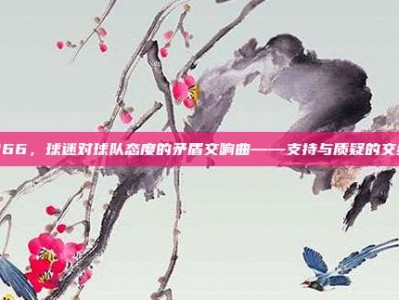 966，球迷对球队态度的矛盾交响曲——支持与质疑的交织