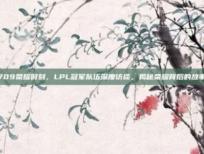 709荣耀时刻，LPL冠军队伍深度访谈，揭秘荣耀背后的故事