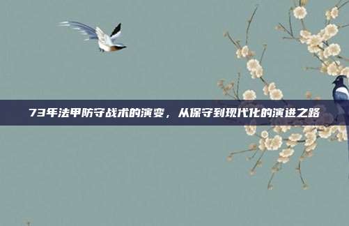 73年法甲防守战术的演变，从保守到现代化的演进之路