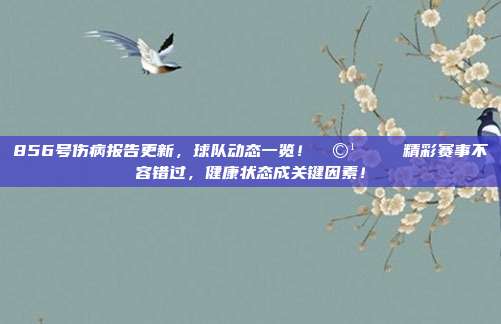 856号伤病报告更新，球队动态一览！🩹📉 精彩赛事不容错过，健康状态成关键因素！