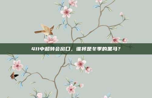 411中超转会窗口，谁将是冬季的黑马？